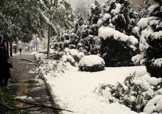 “北京初雪”/